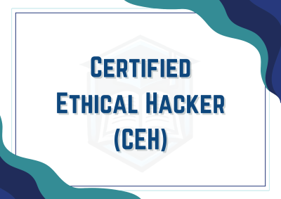 Ethical Hacking & Penetration Testing